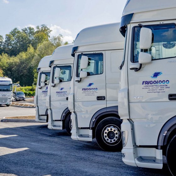 lebensmittel logistik frigologo lkws 3