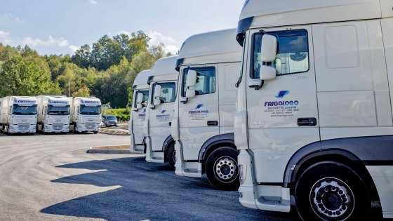 lebensmittel logistik frigologo lkws 3